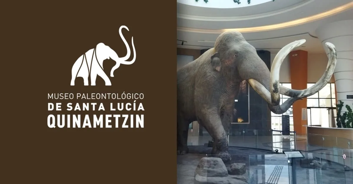 Museo Palenteológico de Santa Lucía Quinametzin